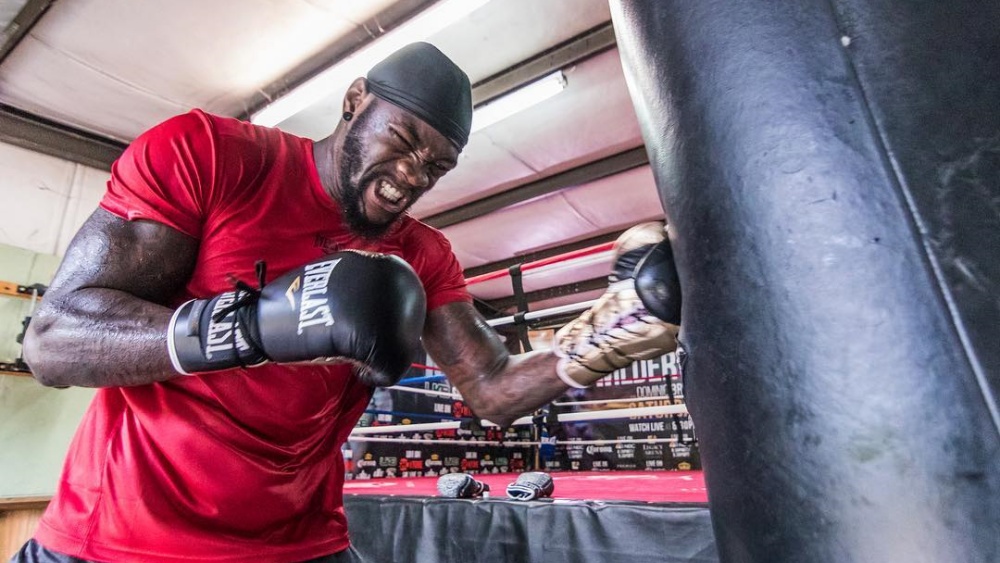 Breaking Down The Slugger Boxing Style