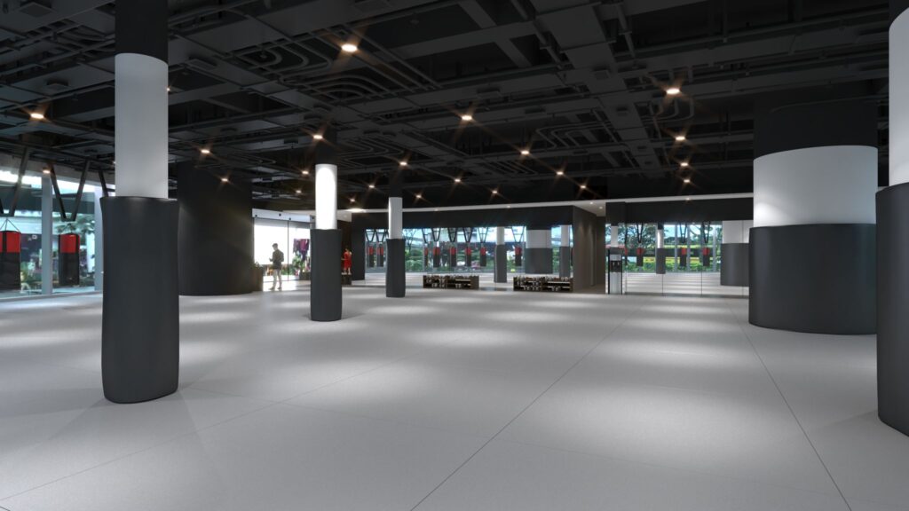 Evolve MMA (Star Vista) Training Mat