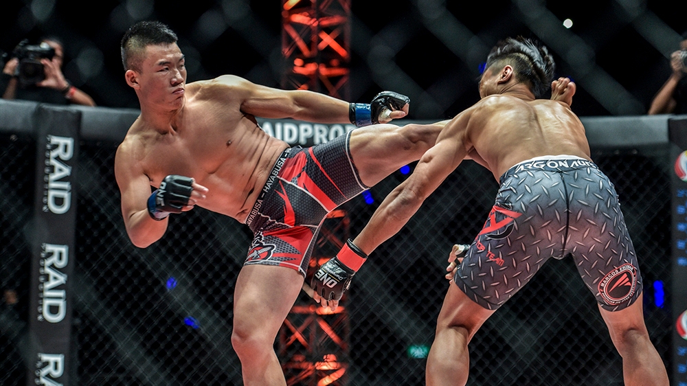 Here’s What You Need To Know About Setting Up Head Kicks In MMA