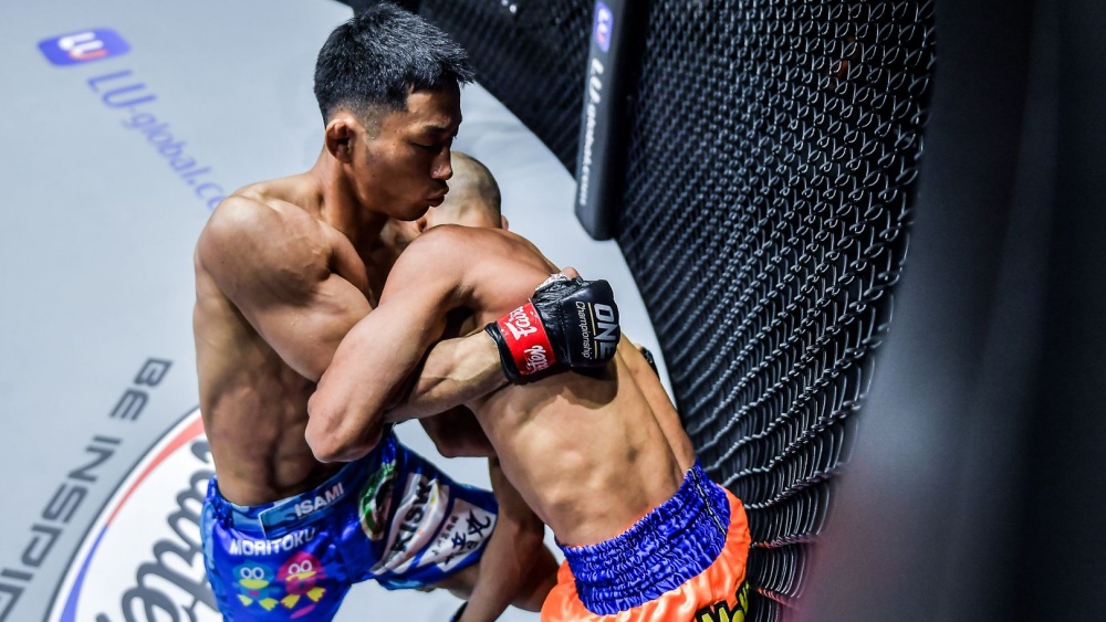 Understanding Underhooks And Overhooks In MMA