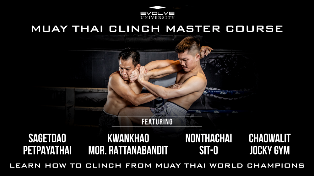 muay thai clinch course cover